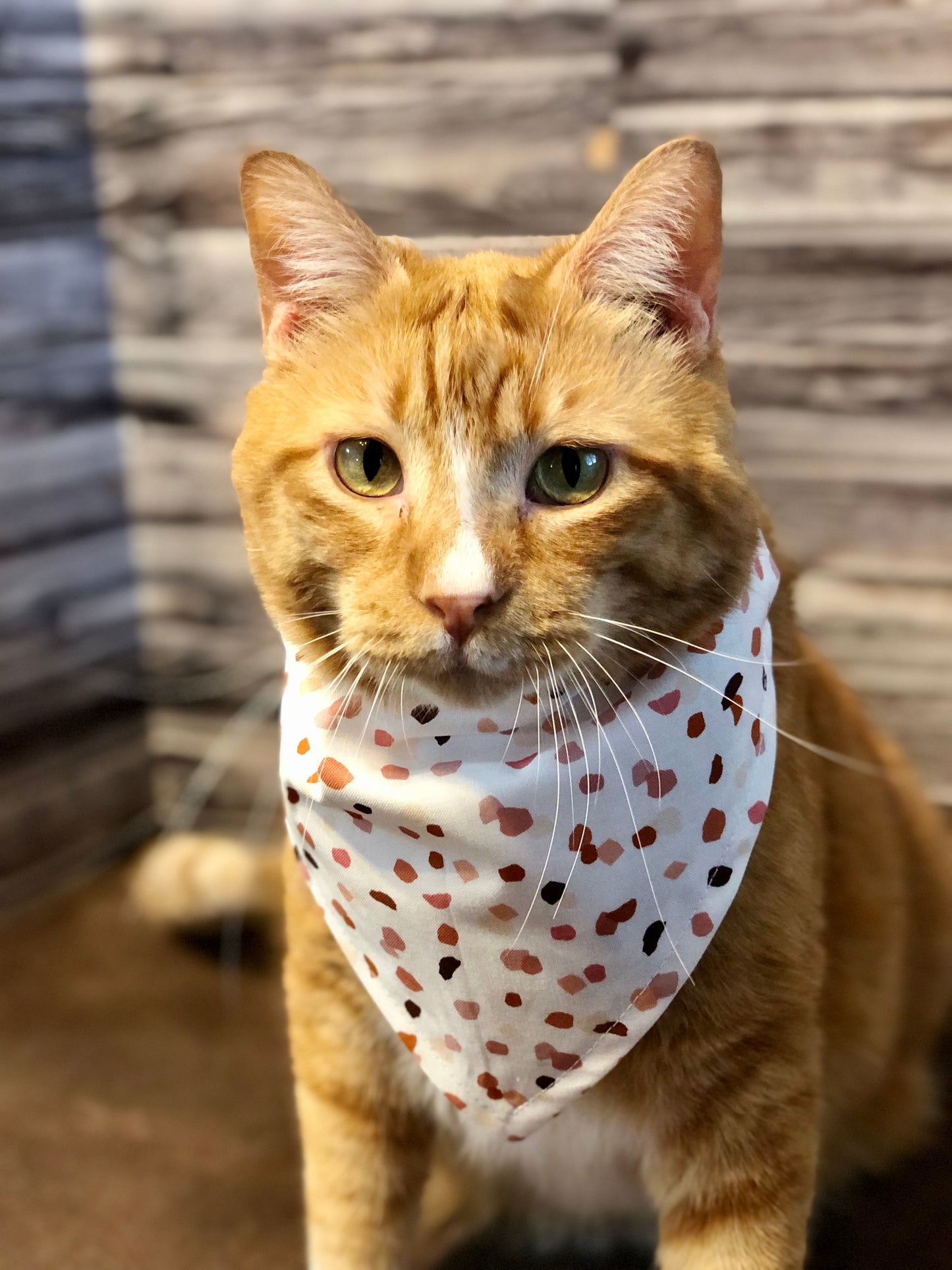 Mauvey Terrazzo Print Fabric Pet Bandana