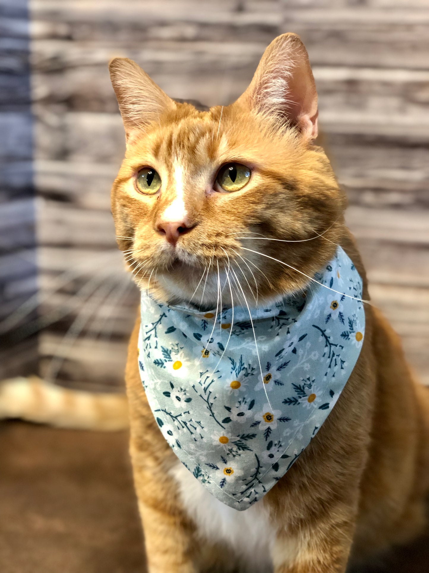 Blue Floral Print Fabric Pet Bandana