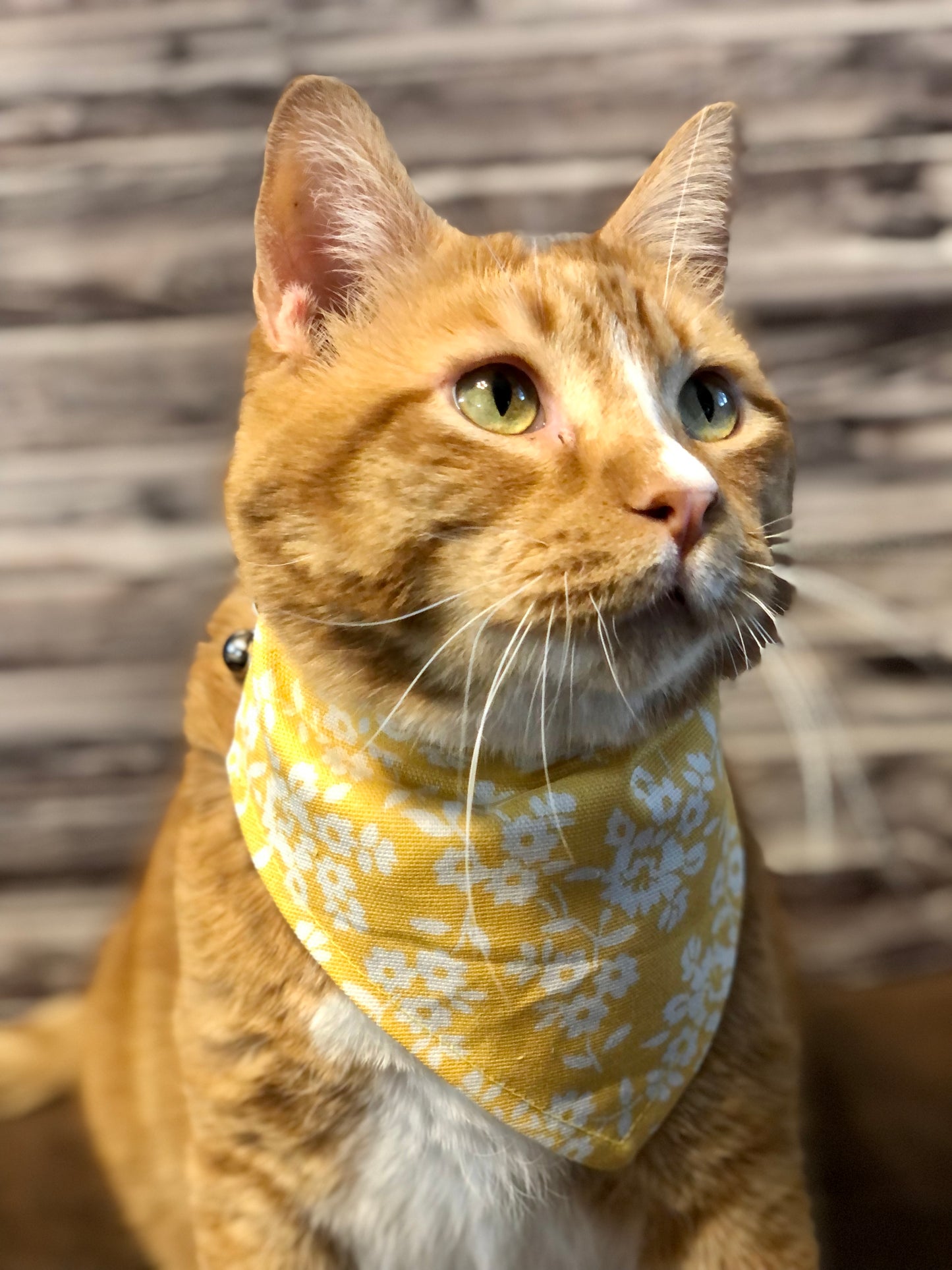 Yellow Floral Print Fabric Pet Bandana