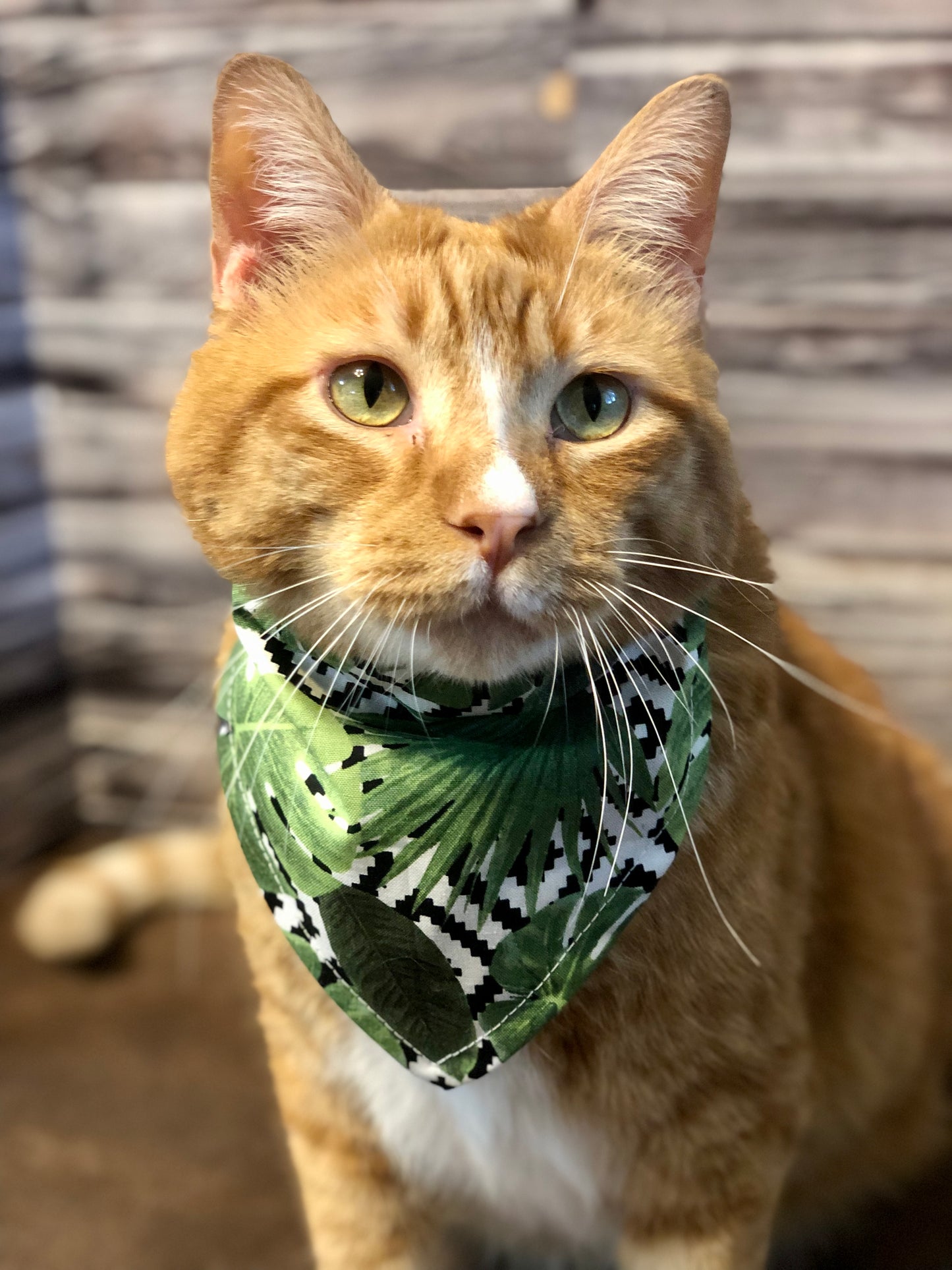 Tropical Leaves Fabric Pet Bandana