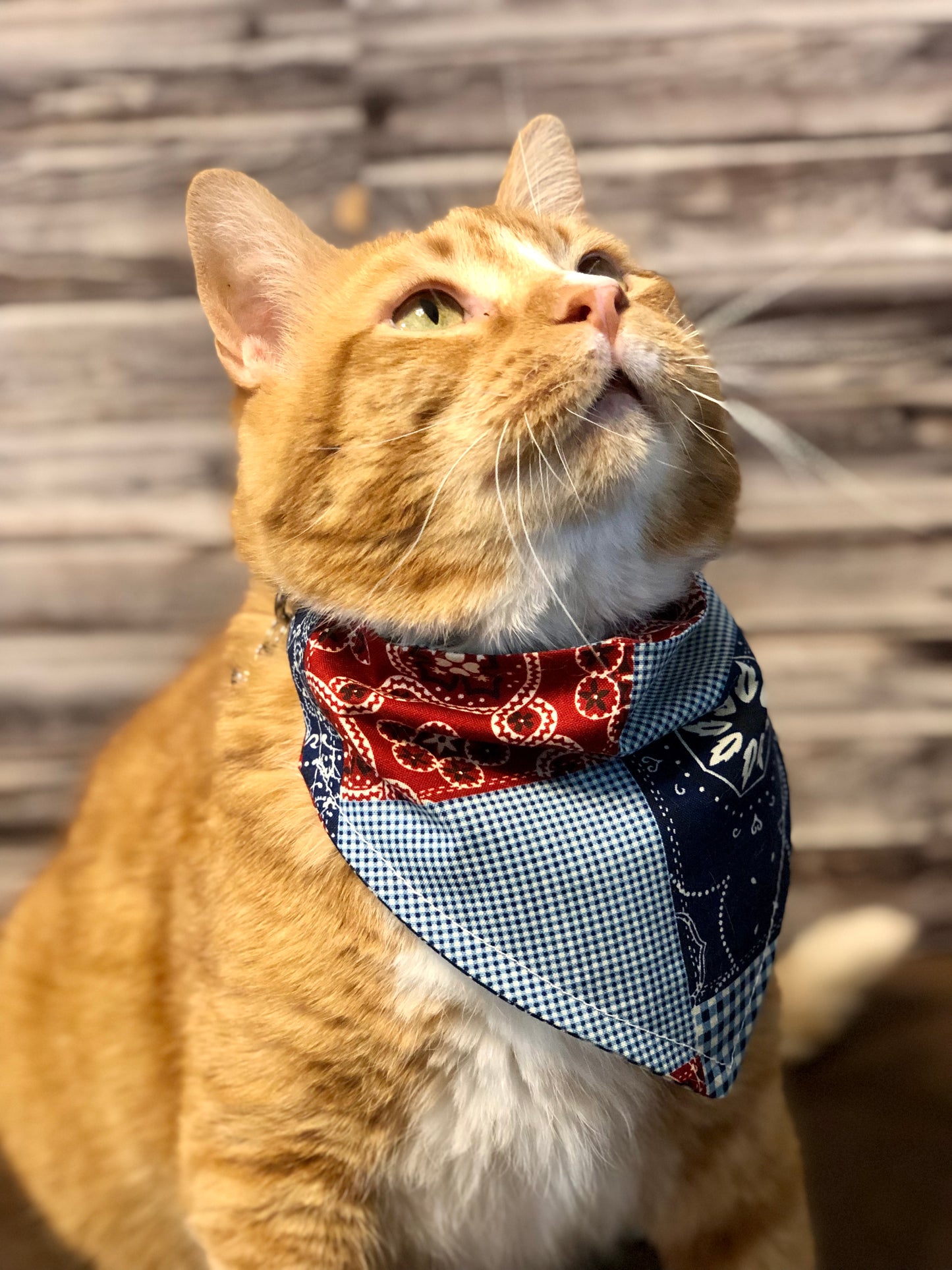 Bandana Patch Fabric Pet Bandana