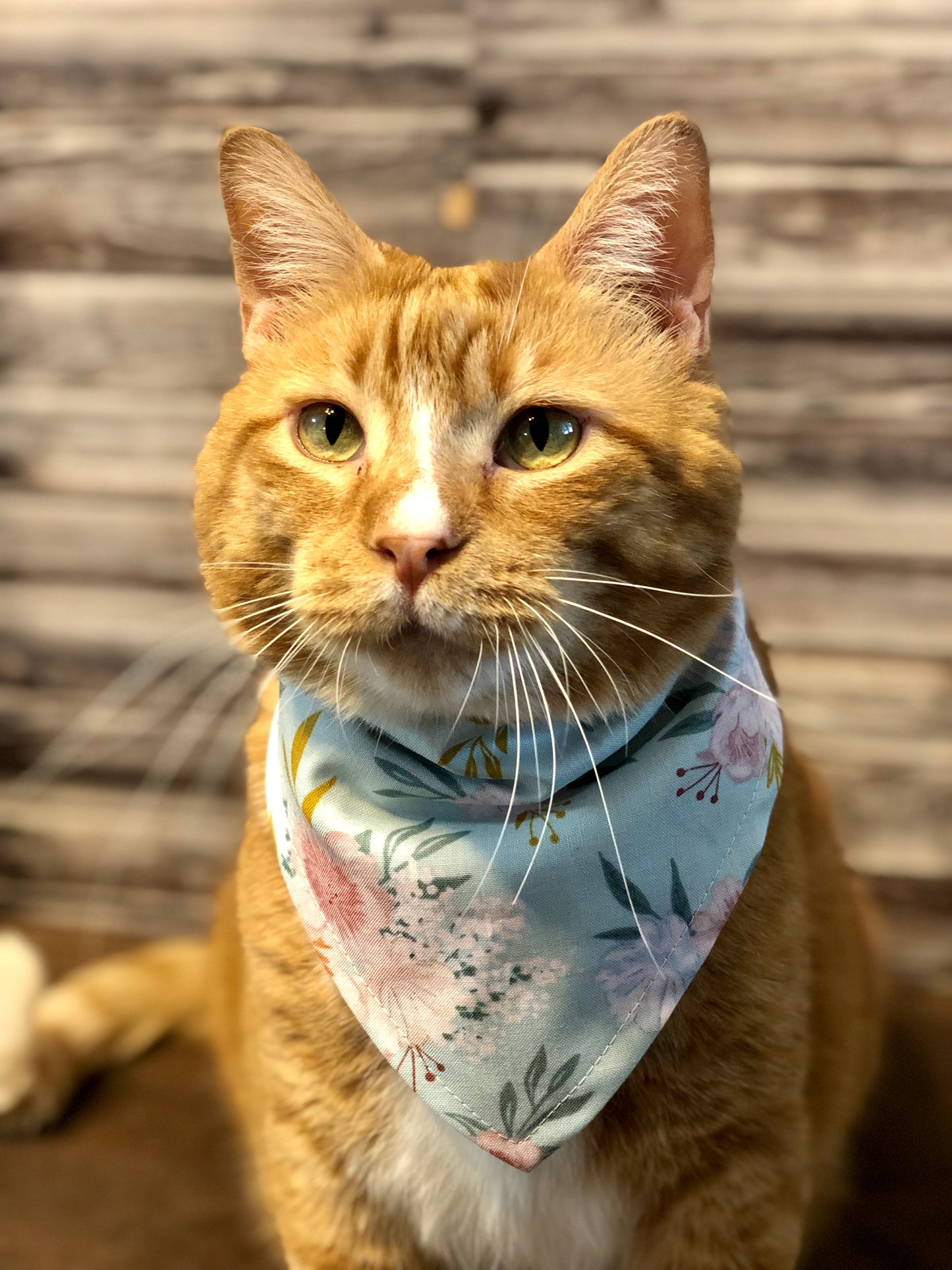 Blue Baby’s Breath Floral Print Fabric Pet Bandana