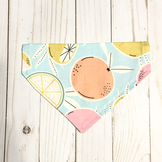 Blue Citrus Print Fabric Pet Bandana