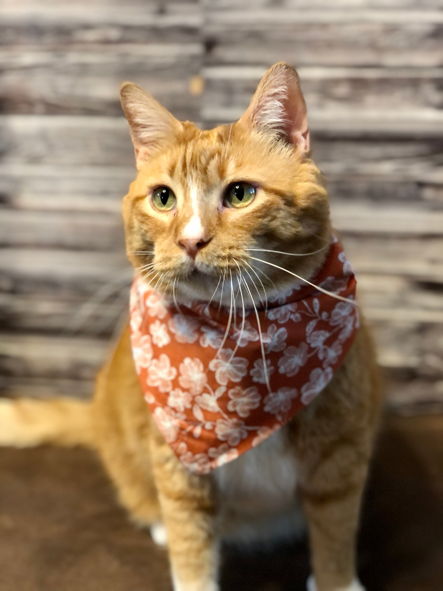 Rust Fall Floral Print Fabric Pet Bandana
