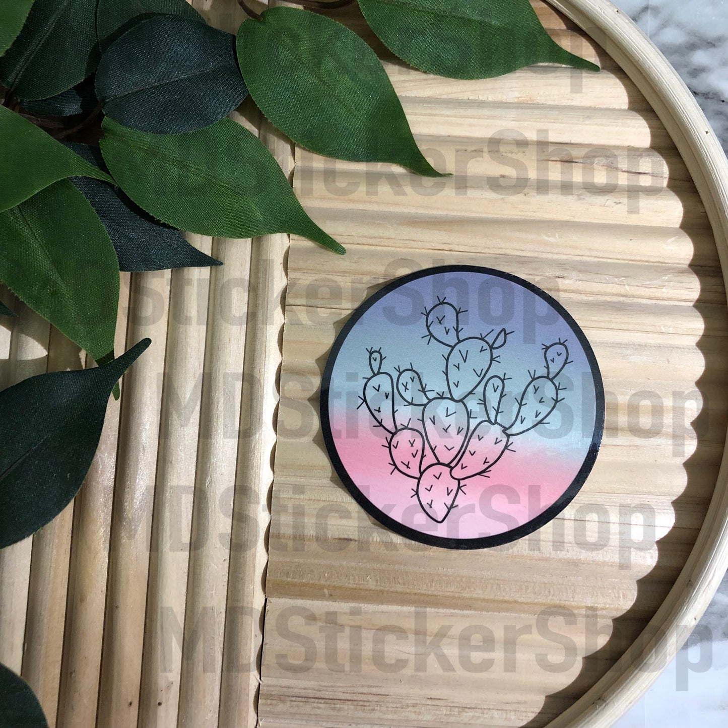Cactus Circle Vinyl Sticker