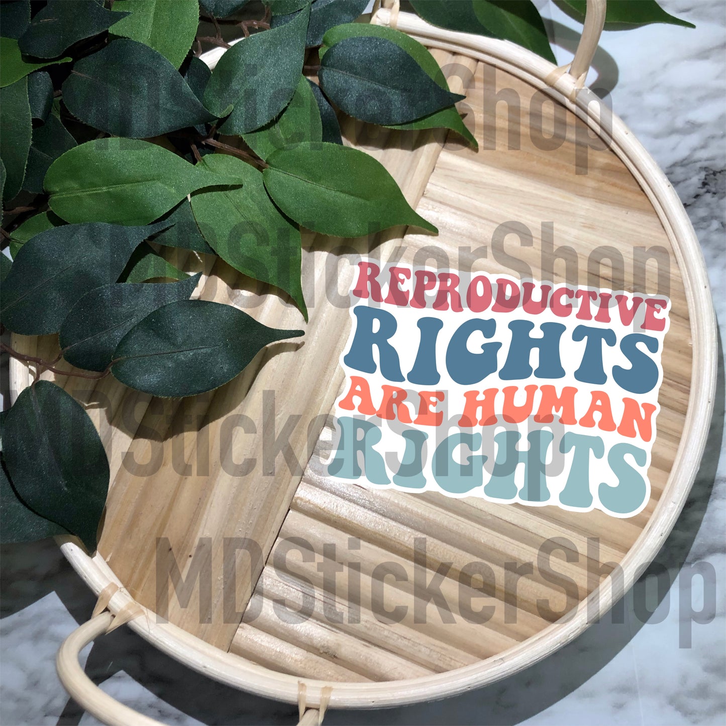 Reproductive Rights Are Human Rights Vinyl Sticker