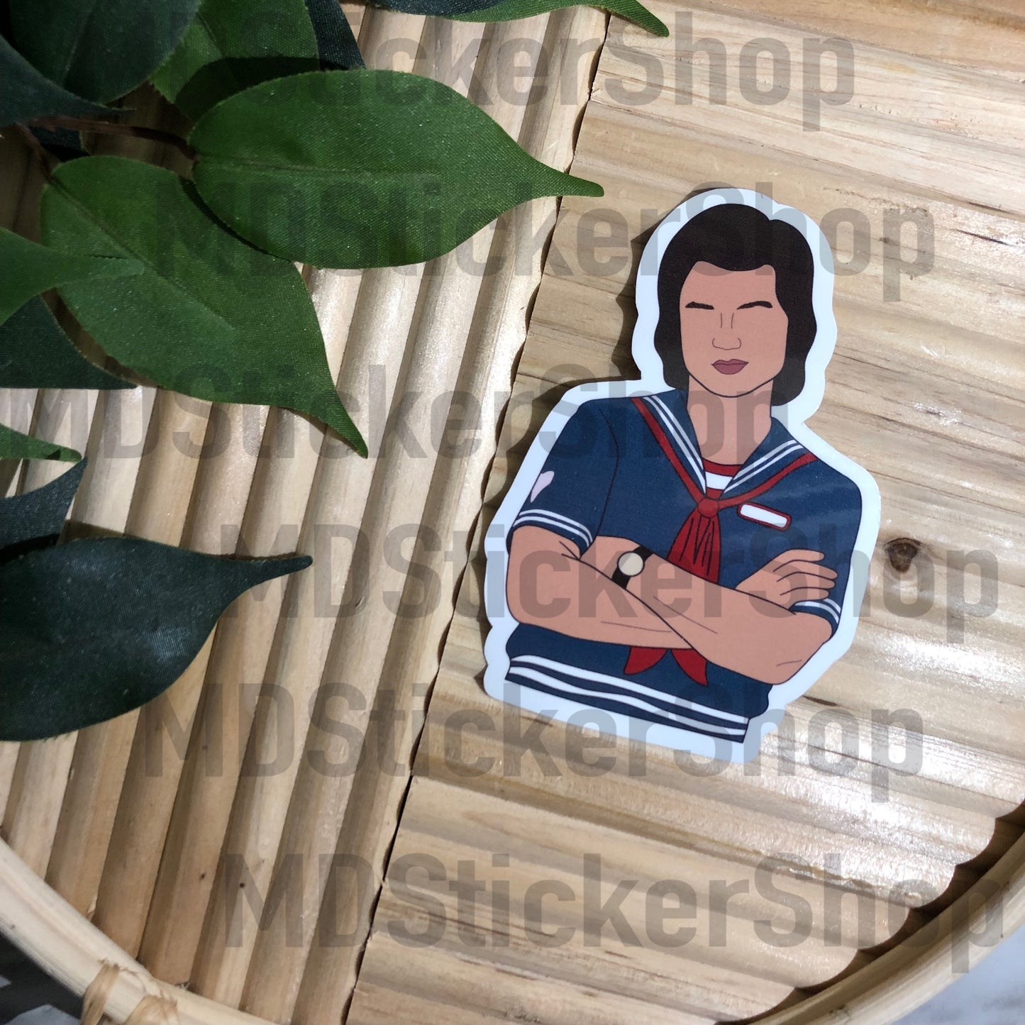 Steve Vinyl Sticker