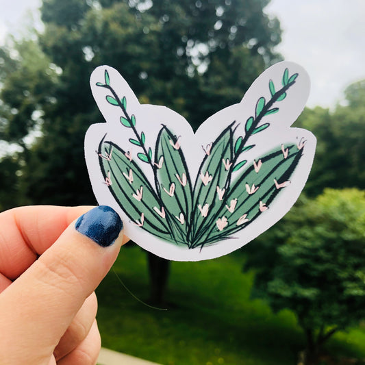 Short Cactus Sticker
