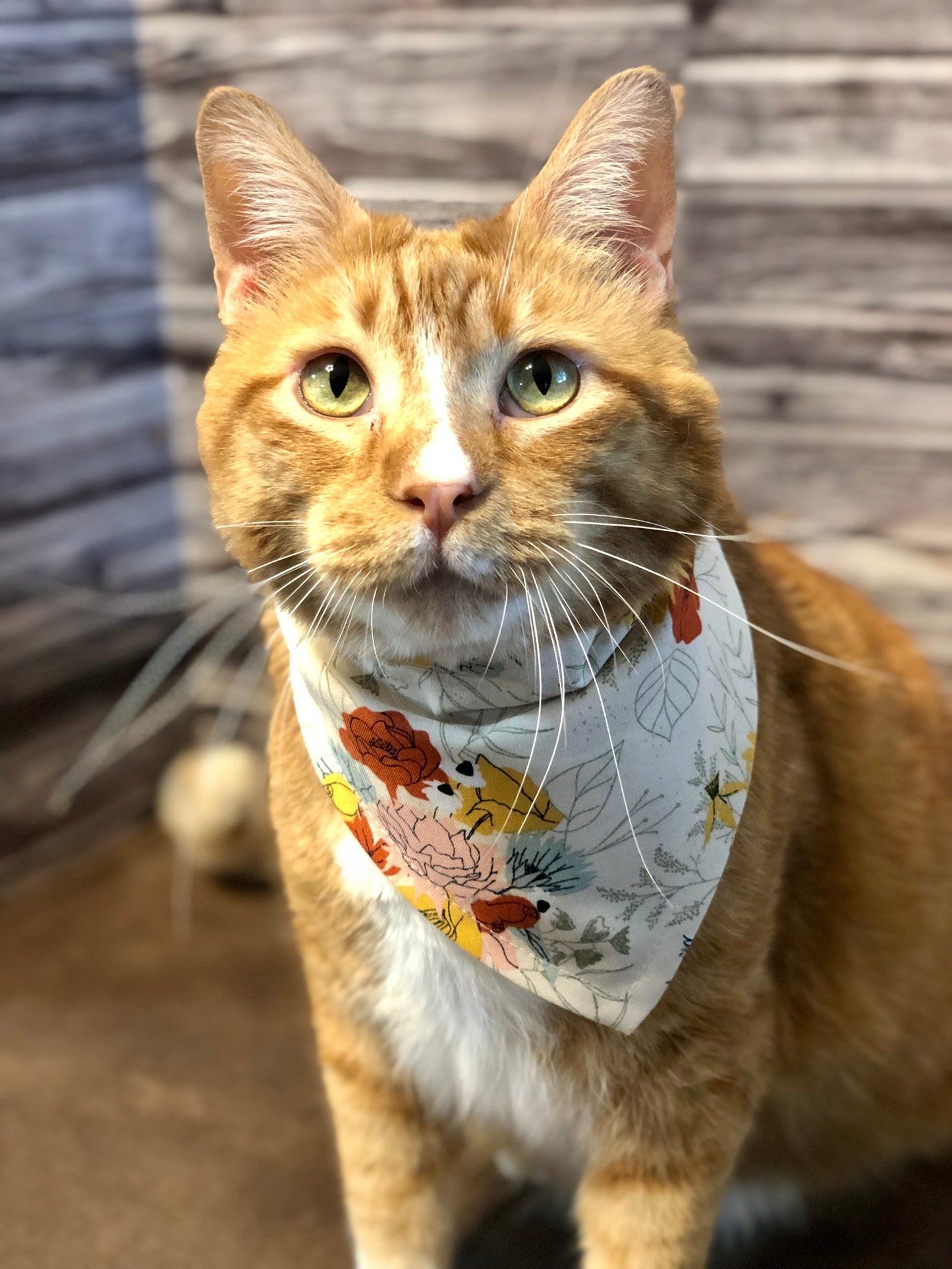 Mustard, Mint, & Orange Floral Print Fabric Pet Bandana