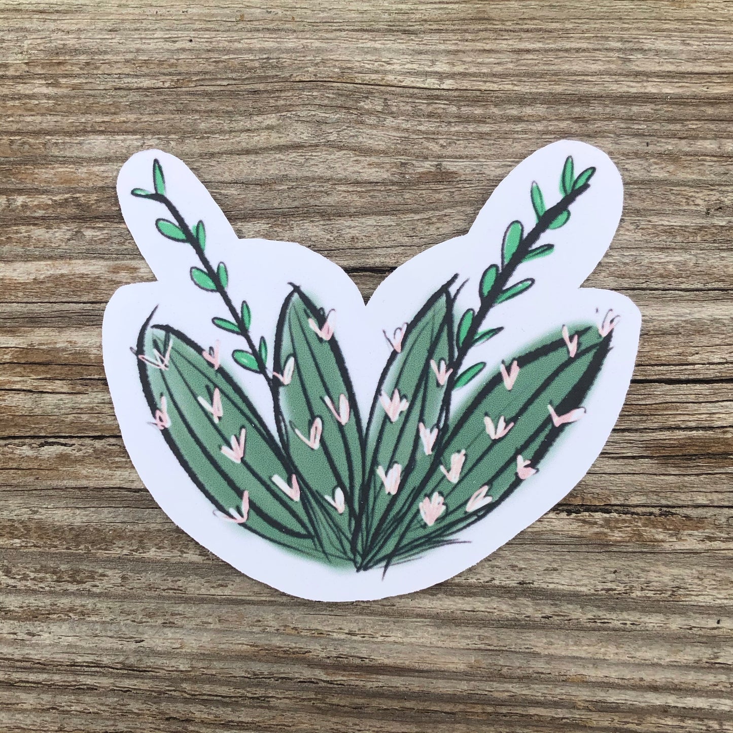 Short Cactus Sticker