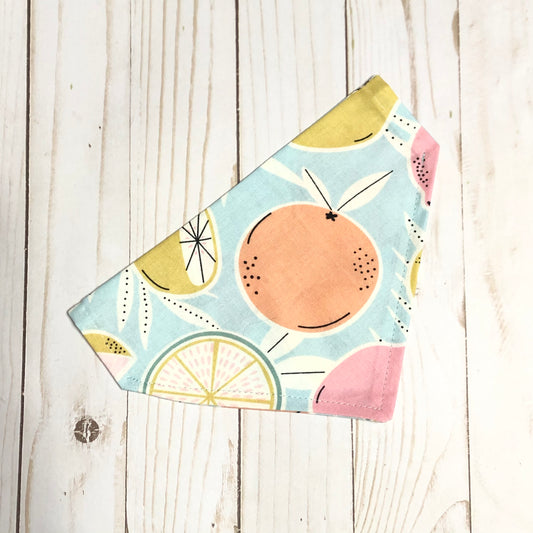 Blue Citrus Print Fabric Pet Bandana