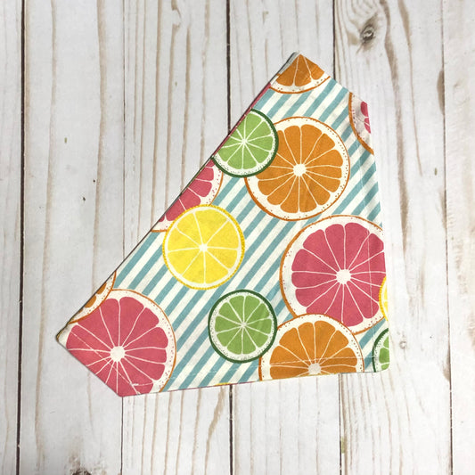 Citrus Stripe Fabric Pet Bandana